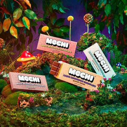 health benefits of mushroom chocolate